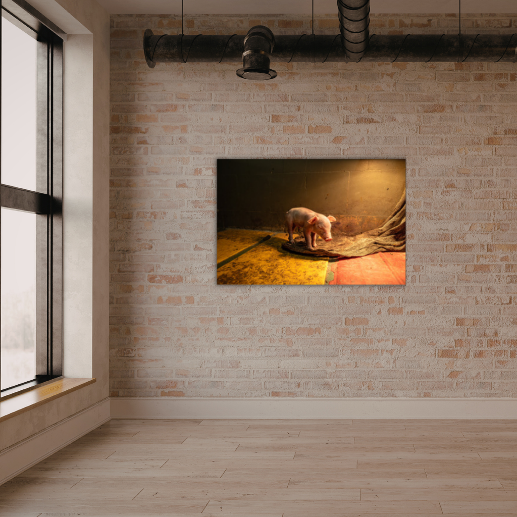 Mission Schwein 3.0 (Leinwandprint 60x90cm)