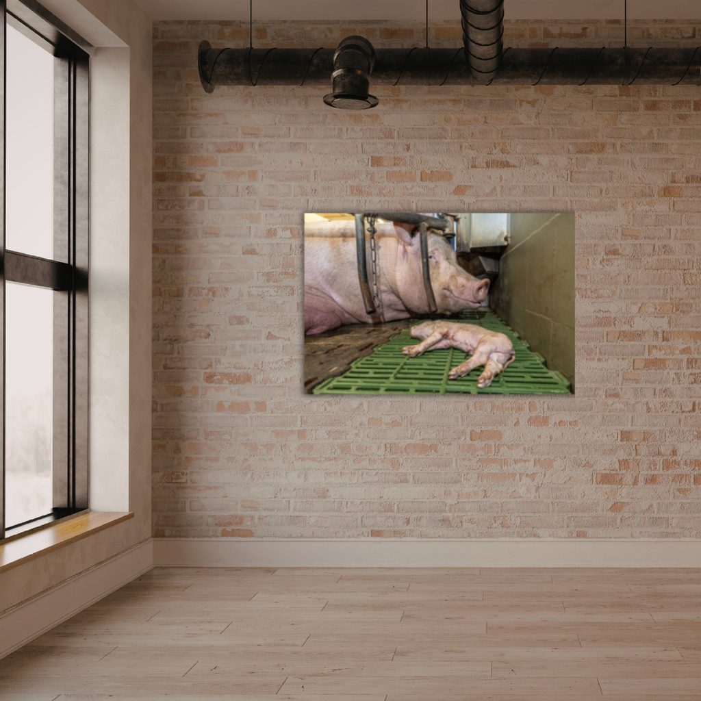Mission Schwein 4.0 (Leinwandprint 60x90cm)