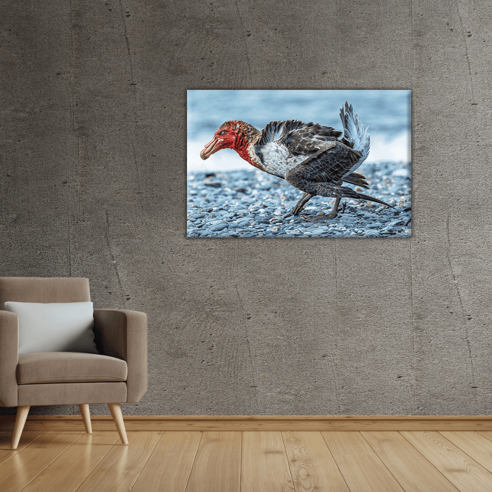 Riesensturmvogel (Leinwandprint 60x90cm)