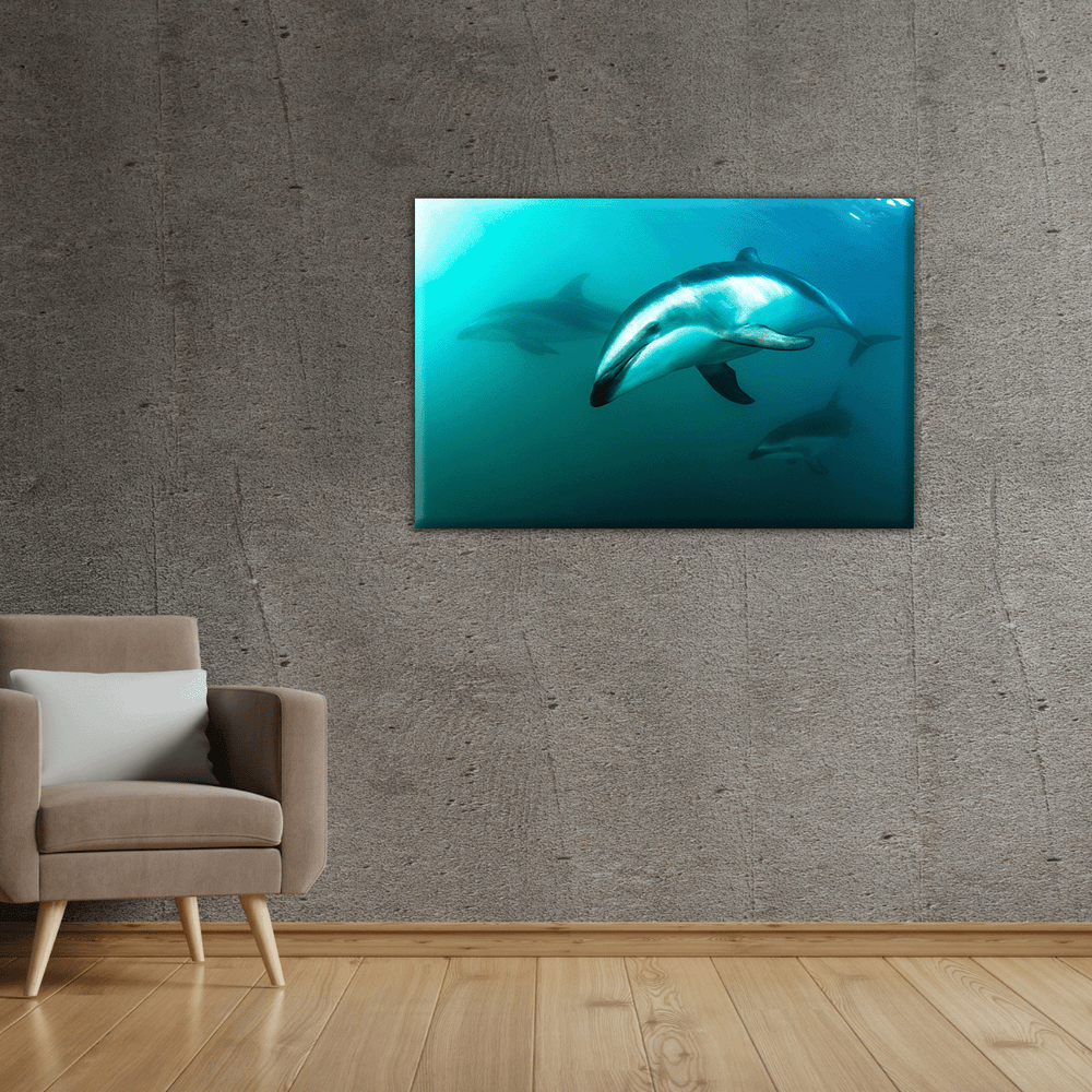 Delfine (Leinwandprint 60x90cm)