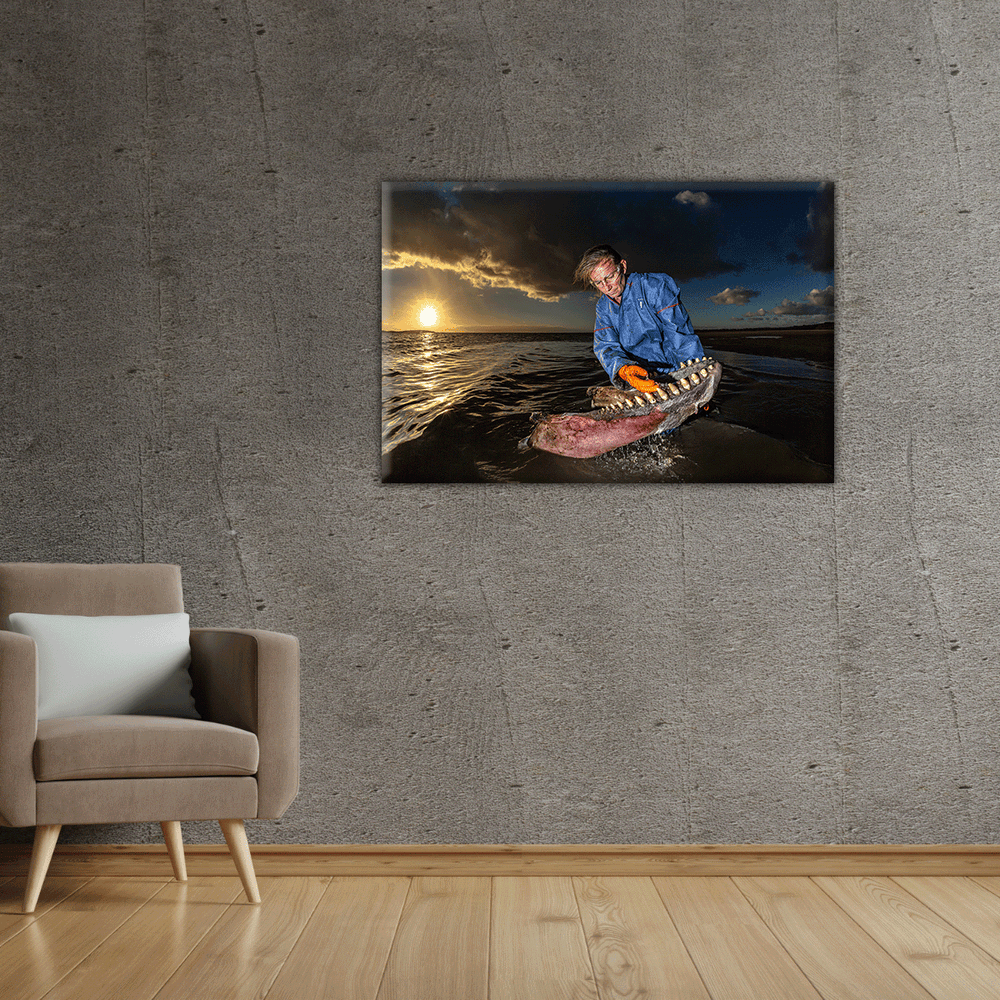 Dr. Ingrid Wisser mit Orca Kiefer (Leinwandprint 60x90cm)