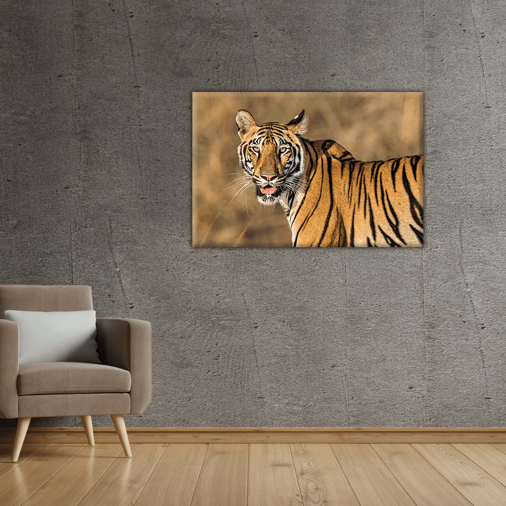 Königstiger (Leinwandprint 60x90cm)