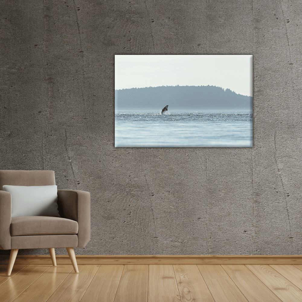 Orca im Sprung (Leinwandprint 60x90cm)