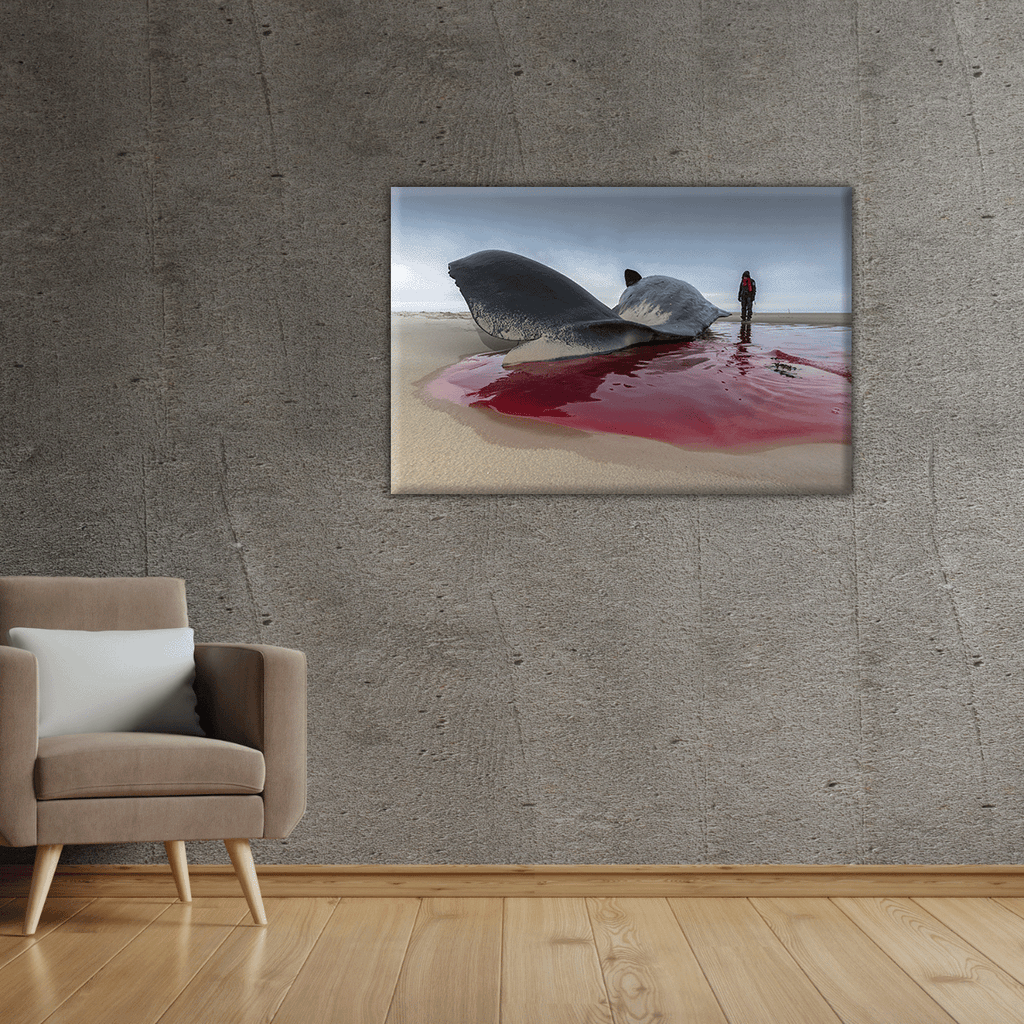 Pottwalstrandung 2.0 (Leinwandprint 60x90cm)