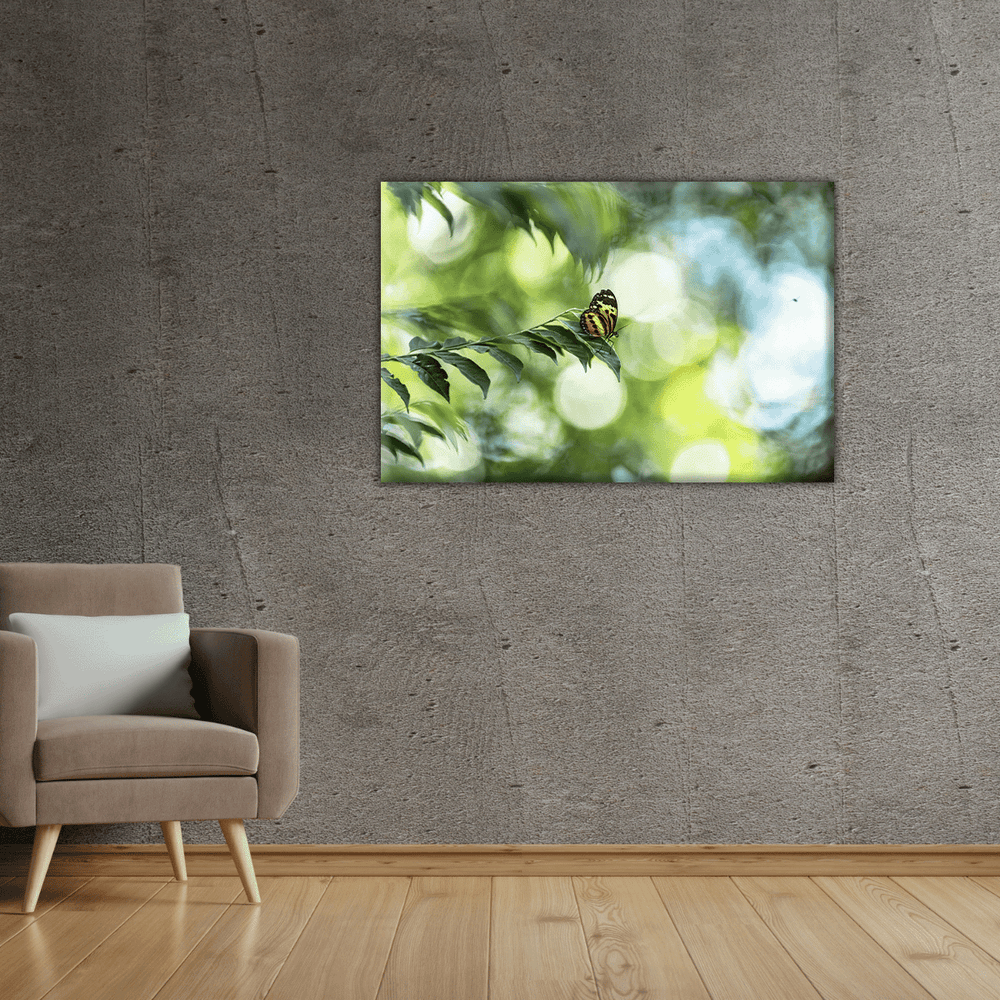 Schmetterling (Leinwandprint 60x90cm)