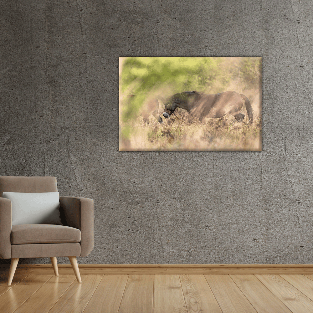 Wildpferd (Leinwandprint 60x90cm)