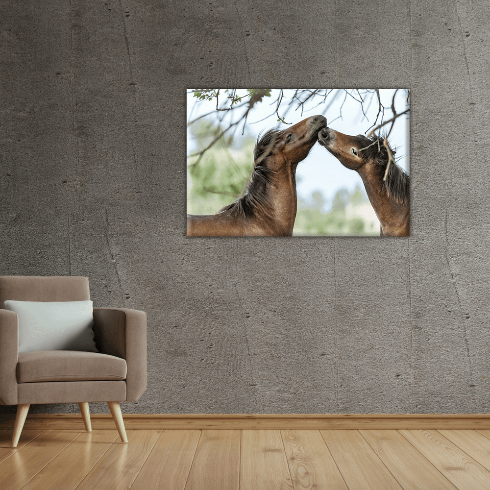 Wildpferdepaar (Leinwandprint 60x90cm)