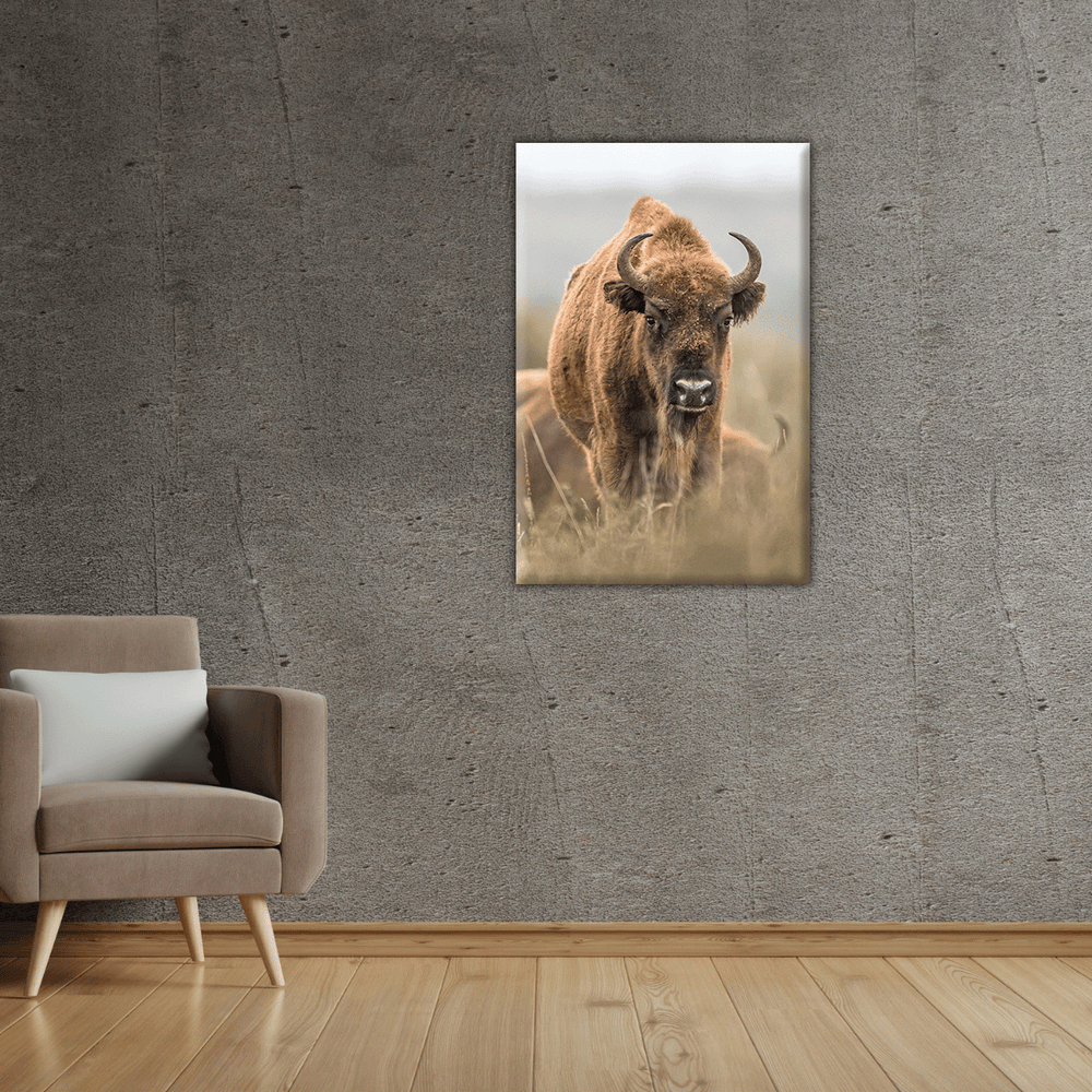 Wisent 3.0 (Leinwandprint 90x60cm)