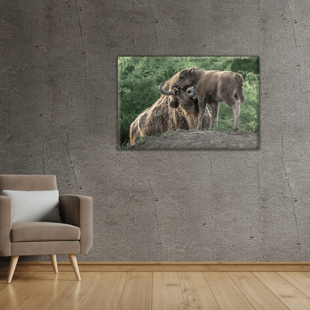 Wisent 4.0 (Leinwandprint 60x90cm)