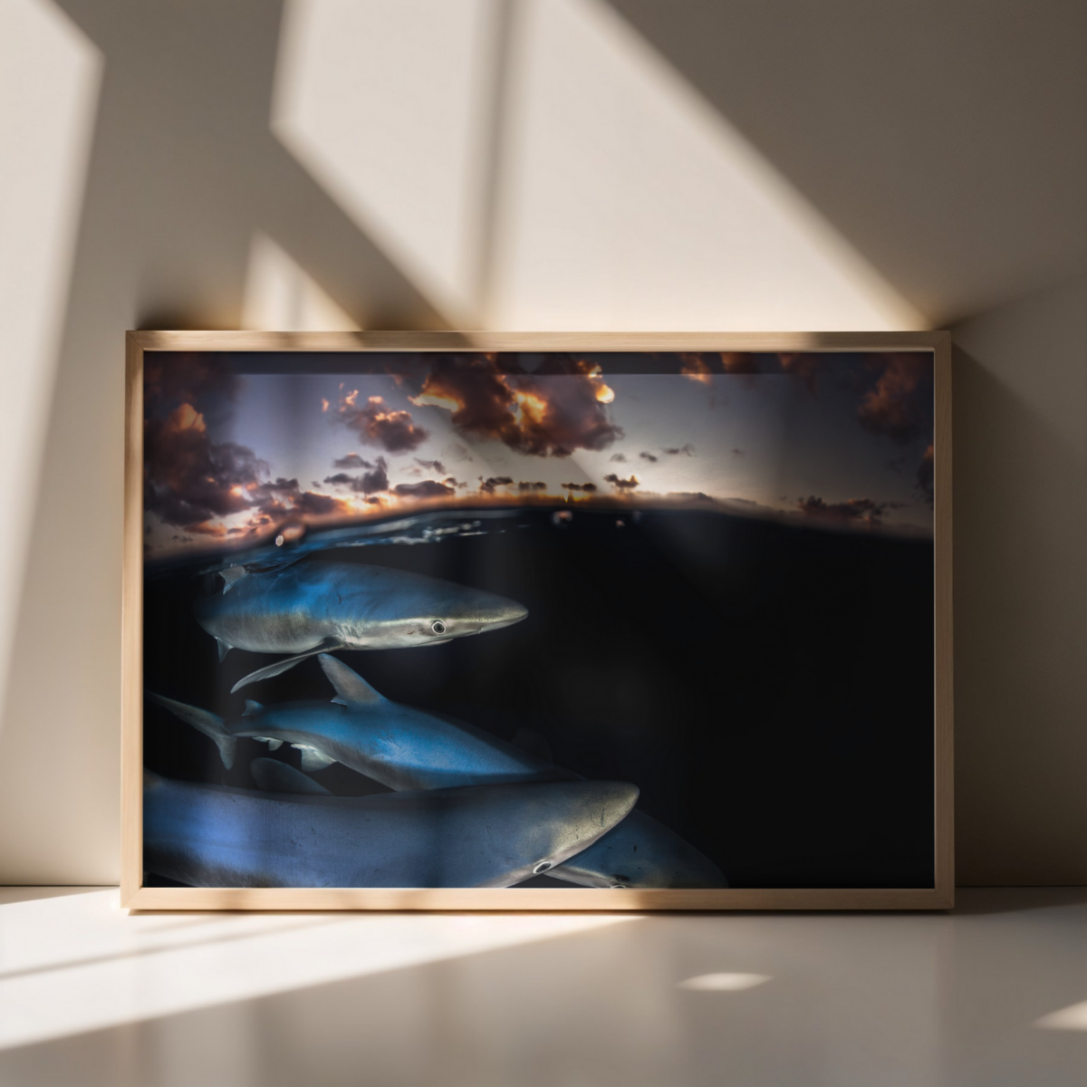 Blauhai 10.0 (Fine Art Print 30x45cm)