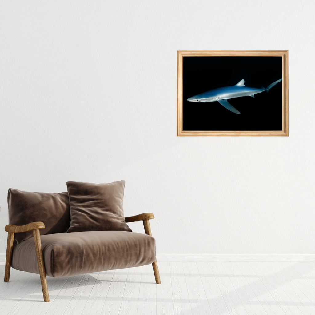 Blauhai 4.0 (Fine Art Print 30x45cm)
