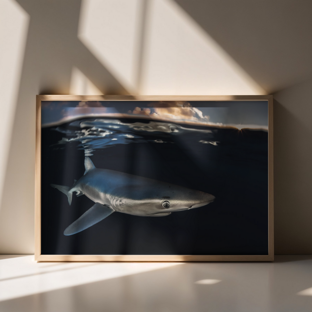 Blauhai 8.0 (Fine Art Print 30x45cm)