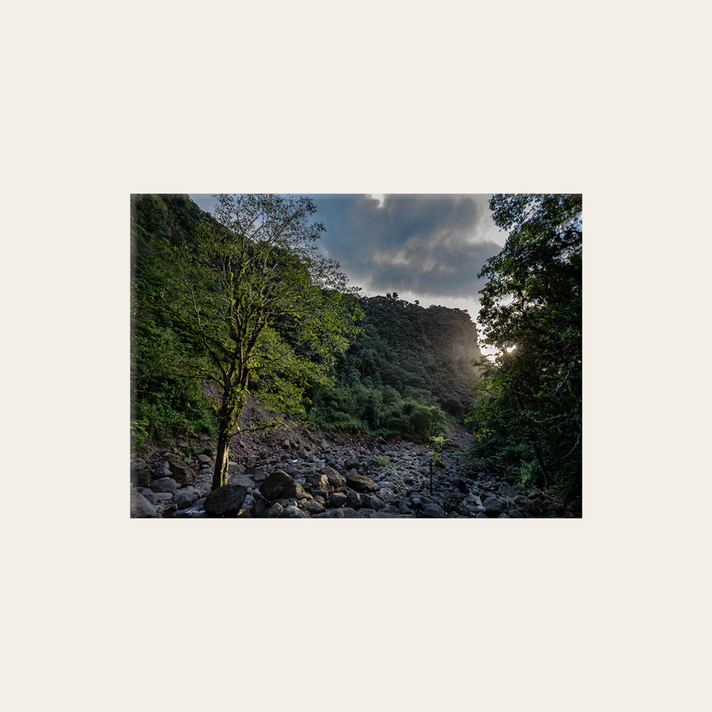 Karibisches Tal (Leinwandprint 60x90cm)