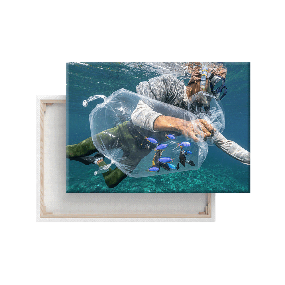 Fischfang (Leinwandprint 60x90cm)