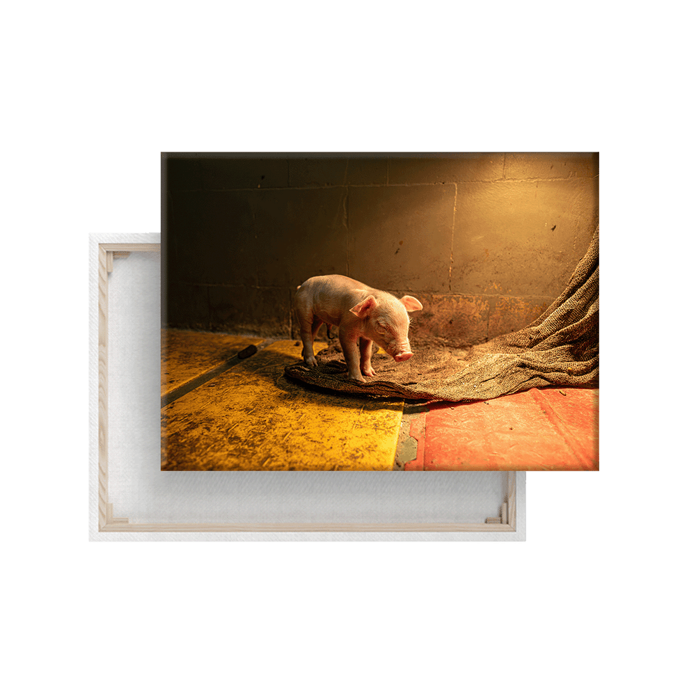 Mission Schwein 3.0 (Leinwandprint 60x90cm)