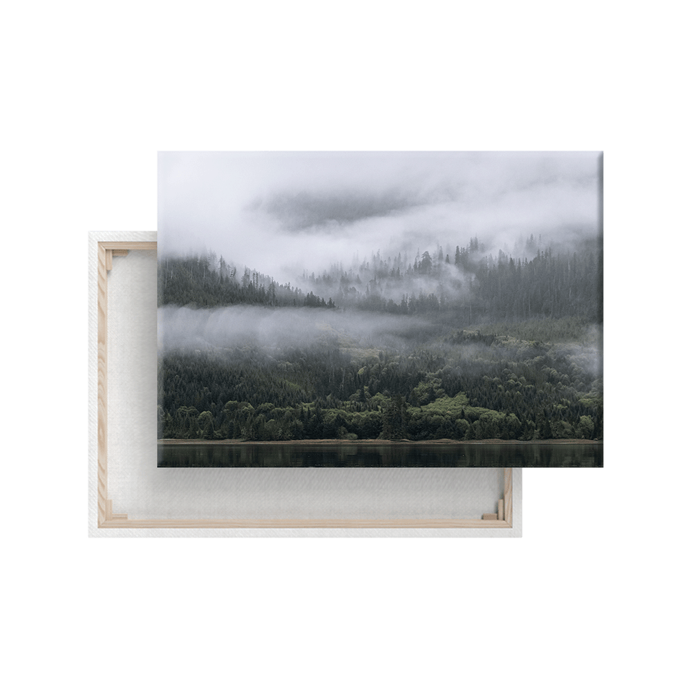 Nebliger Wald Kanada (Leinwandprint 60x90cm)