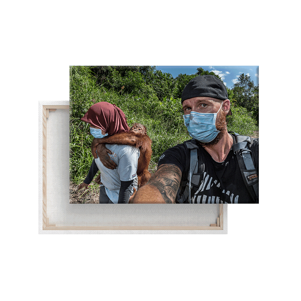 Orang-Utan Rescuecenter 4.0 (Leinwandprint 60x90cm)
