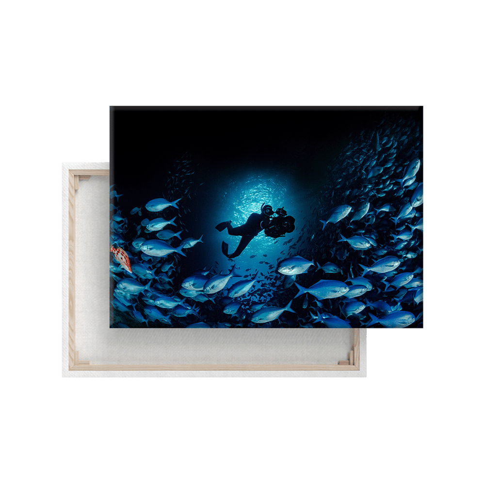 Freediver (Leinwandprint 60x90cm)