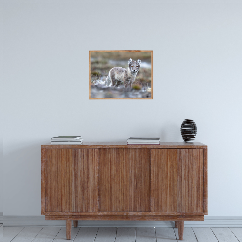 Polarfuchs (Fine Art Print 30x45cm)