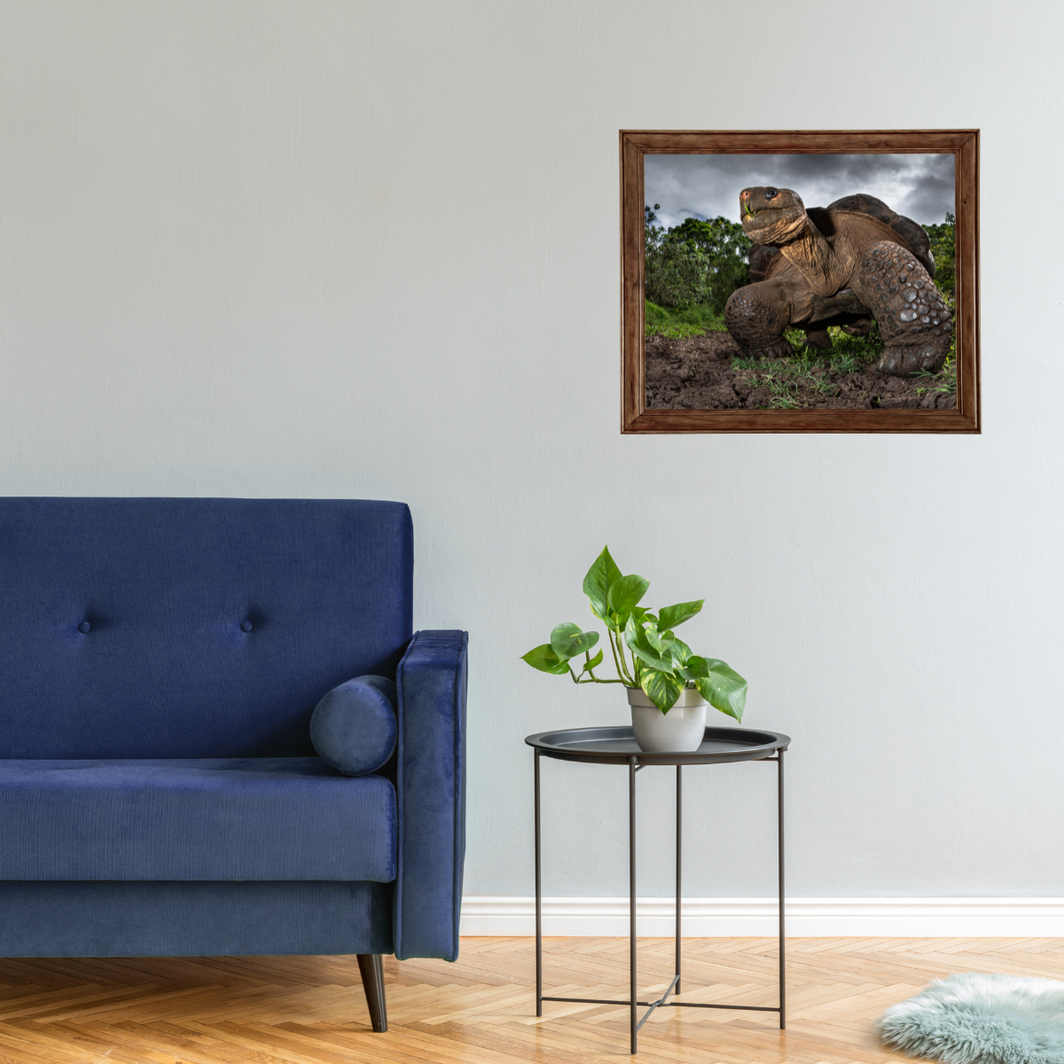 Riesenschildkröte (Fine Art Print 30x45cm)
