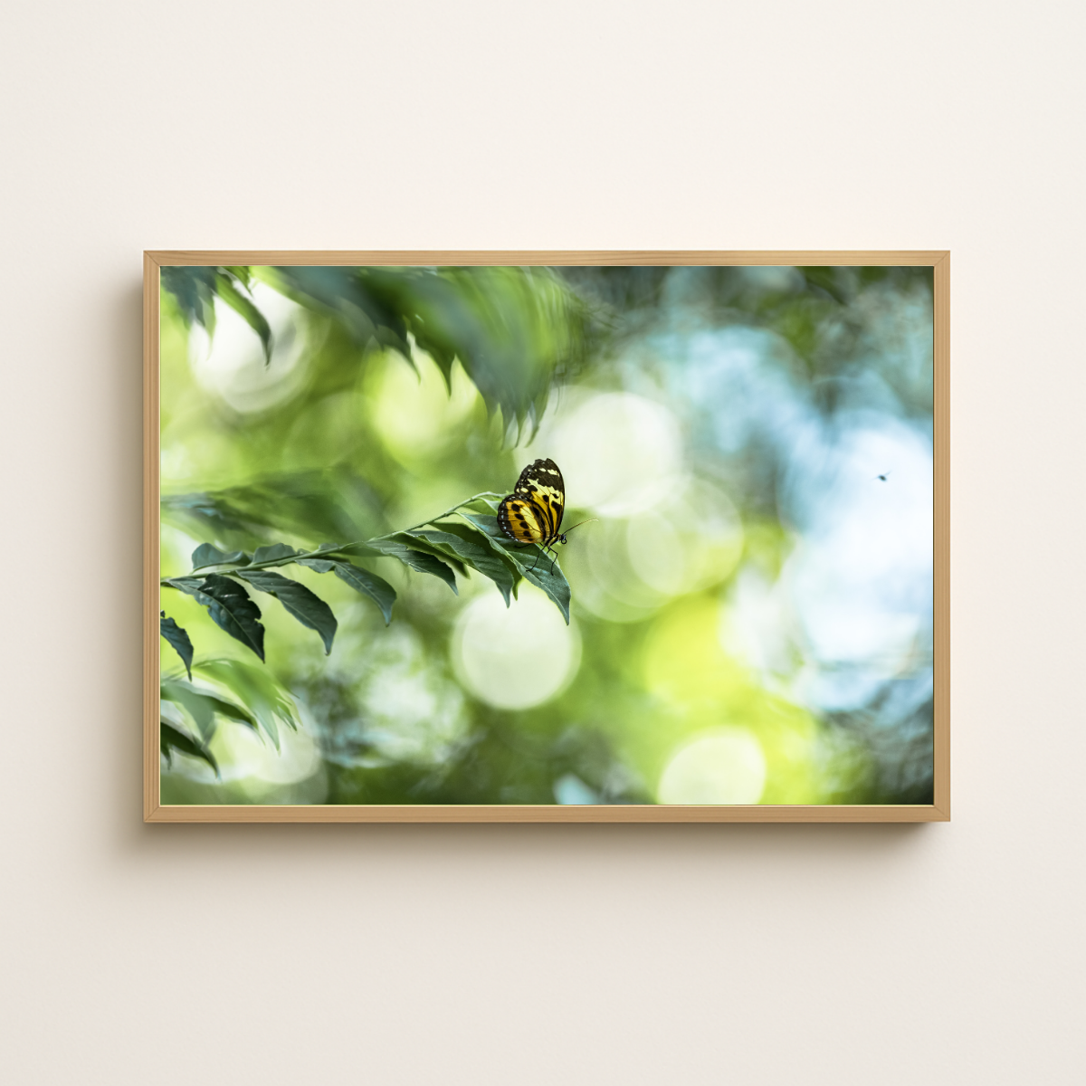 Schmetterling (Fine Art Print 30x45cm)