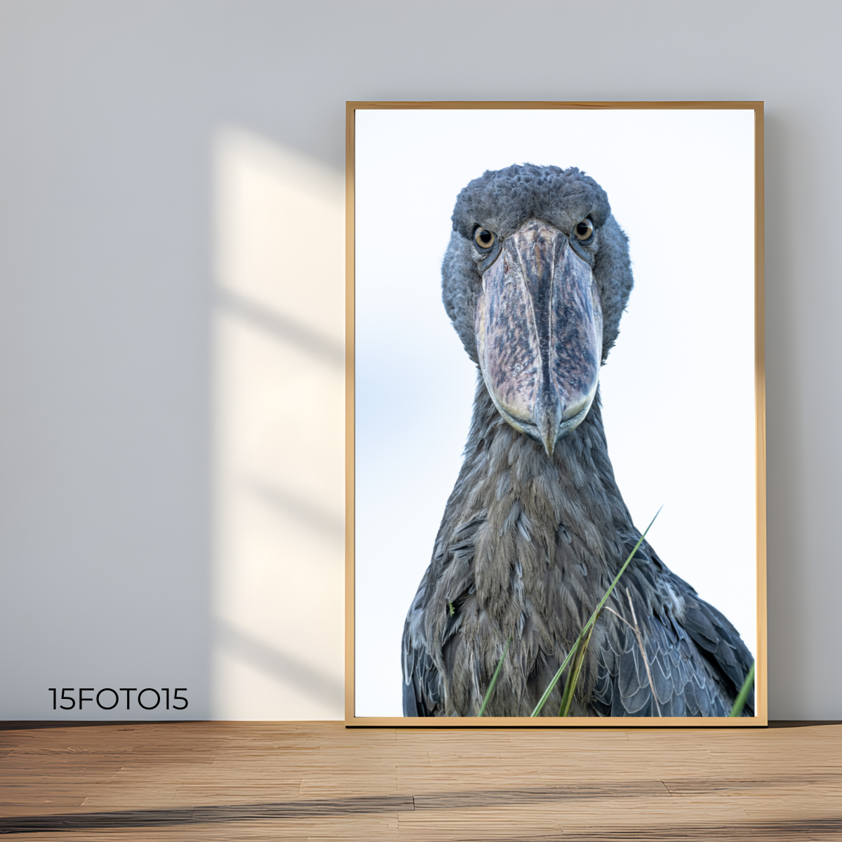 Schuhschnabel Porträt (Fine Art Print 45x30cm)