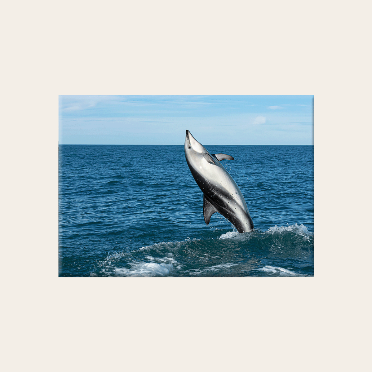 Schwarzdelfin (Leinwandprint 60x90cm)