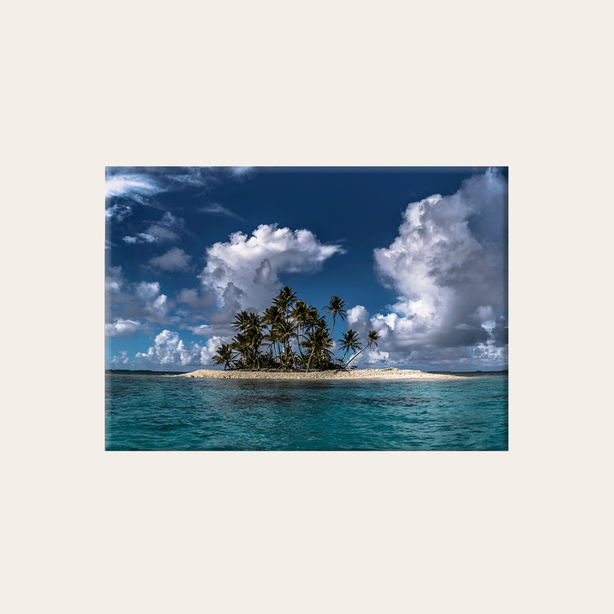 Shark Island (Leinwandprint 60x90cm)