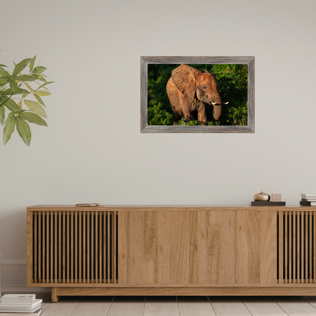 Wald Elefant (Fine Art Print 30x45cm)